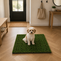 Gazon synthétique pour animaux de compagnie sur mesure, pelouse artificielle pour animaux de compagnie avec une bonne drainage, tapis en gazon artificiel pour une utilisation en intérieur et en extérieur