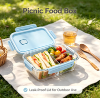 Boîte à lunch rectangulaire en verre avec couvercles, sans BPA, compatible micro-ondes, récipients en verre pour la préparation des repas