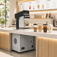 Cafetera T&Z para Debajo del Mostrador, Teapresso, de 2 Grupos, Cafetera Espresso Comercial para Hoteles de Lujo y Cafeterías de Diseño