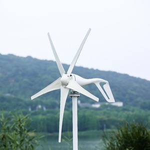 Elege 12V 24V 1000W Sistema Eólico Horizontal de 6 Aspas para el Hogar, Diámetro de Rotor Personalizable, Generador de Alta Velocidad del Viento, Certificado CE 1 - Product Image 3