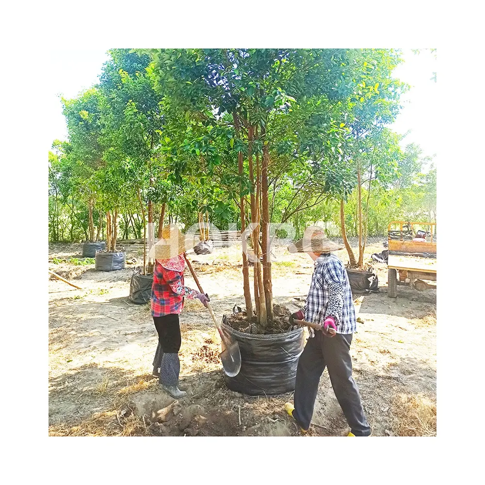 HOKBG toptan çevre dostu polipropilen dokuma bitki dikme çantası büyük ve uzun boylu ağaçlar yetiştiricilerinin tohumlama fidan pot büyümek
