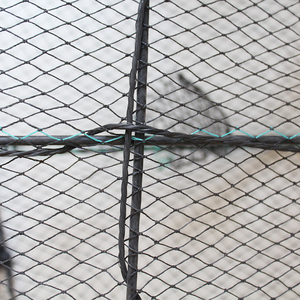 Hot Bán Có Thể Gập Lại Nuôi Trồng Thủy Sản Cua Tôm Fish Trap Vuông Lồng Giỏ 380D/9ply PE Multifilament <span class=keywords><strong>Net</strong></span> Trên Sông Đại Dương - Product Image 6