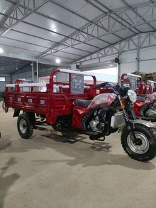 Vente Chaude <span class=keywords><strong>Moto</strong></span> Tricycle à Essence à Trois <span class=keywords><strong>Roues</strong></span> pour Transport de Marchandises à Bon <span class=keywords><strong>Prix</strong></span> - Product Image 6