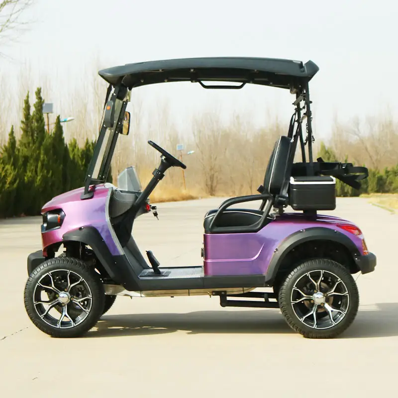 Street Legal Custom 2/4/6/8 Seater Lithium Battery Electric Utility Golf Cart Carro De Golf Electrico