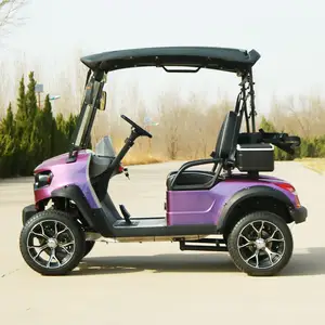 Street Legal Custom 2/4/6/8 Seater Batería de litio Utilidad eléctrica Carrito de golf Carro De Golf Electrico