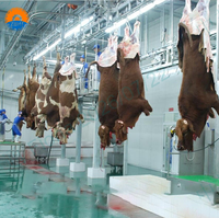 Chaîne d'abattage de bovins ZBHT haute capacité 200 têtes, équipement de traitement de vaches entièrement automatisé avec roulement de moteur de précision