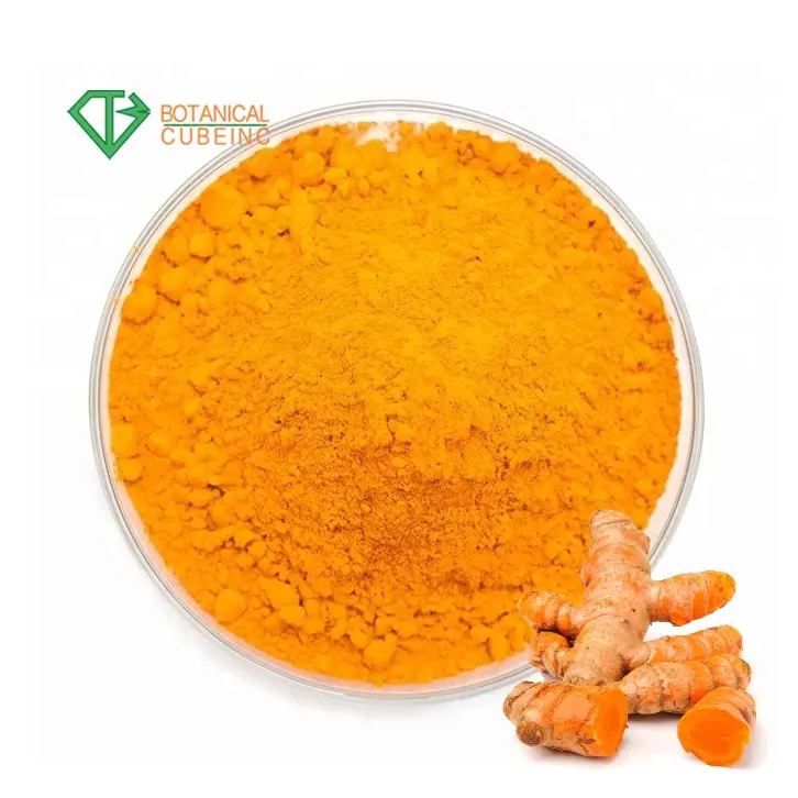 Best Price Turmeric Root Extract Pure Turmeric Curcumin Extract 95% Curcumins Extract