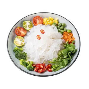 Preisgünstige gesunde Konjac Shirataki Nudeln kein Fett niedriges Kohlenhydratgehalt chinesische Fettuccine Nudeln essen fertig