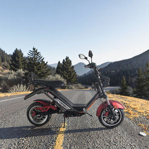 Livraison Citycoco Scooter électrique 65 Km/h 4000W Moteur <span class=keywords><strong>E</strong></span>-bikes Amovible 50Ah Li-Batterie Economique <span class=keywords><strong>E</strong></span>-scooter - Product Image 1