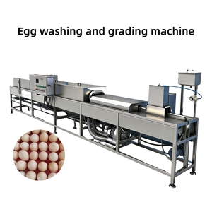자동 계란 세척기/계란 세척기 판매/소금에 절인 오리알 세척기 - Product Image 3