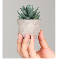 Plantes succulentes artificielles pour intérieur, mini-bonsaïs en pot, combinaison de plantes succulentes simulées pour bureau