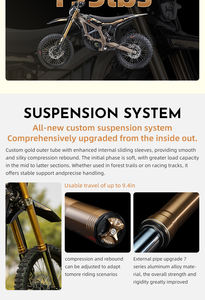 Off-Road için Surron Ultra arı 2025 hafif elektrikli Enduro bisiklet - Product Image 5