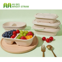 Fabrieksmatig composteerbare wegwerp voedselcontainer van bagasse met 2 compartimenten, 700ml (24oz), met deksel, voor school, afhaalmaaltijden en bezorging