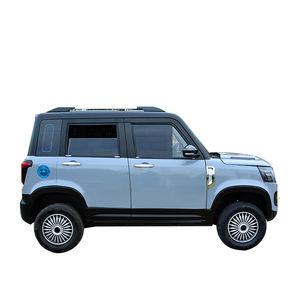 Mini SUV électrique léger pour adultes - Propulsion arrière, sièges en cuir, galerie de toit métallique, traction simple - Product Image 6