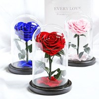 Rose éternelle en fleur naturelle longue durée, rose préservée dans un dôme en verre avec LED, cadeau de remise de diplôme, de mariage ou de Saint-Valentin