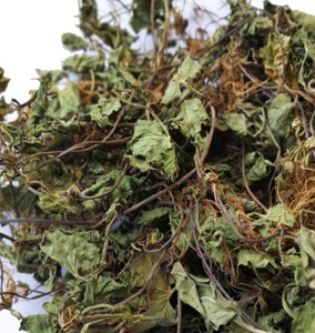 Pentywort-material de té tradicional Natural, Plantas secas asiáticas, gotu kola, hierba de hoja - Product Image 2