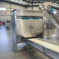 Kls Industriële Knoflookverwerkingsproductielijn Automatische Elektrische Schil En Aparte Knoflookmachine