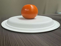 Assiette jetable biodégradable blanche de 9 pouces pour fêtes, camping, burgers, kits de couverts jetables