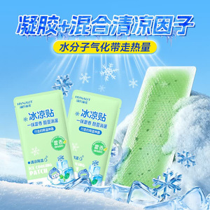 Haishi Hainuo Patchs Rafraîchissants C206 Patchouli 10 Pièces par Boîte Soulagement Chaleur Estivale pour Utilisation en Extérieur - Product Image 4