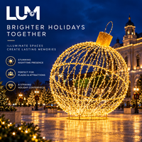 Boule lumineuse LED de Noël 250 cm, motif décoratif, pour extérieur, cadre en aluminium peint, indice de protection IP65, multifonction