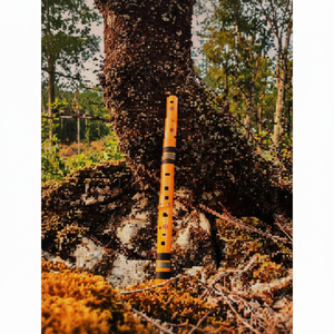 Flûte en bambou orange vibrante avec bandes d'accent noires, instrument à vent durable et coloré pour les étudiants, au prix de gros - Product Image 1