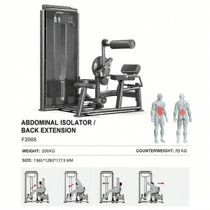 Dual Abdominal Isolator / Back Extension Multi-Back & Core Home Gym Equipment for Strength Training WD-F2088 Your Trusted - Product Image 3