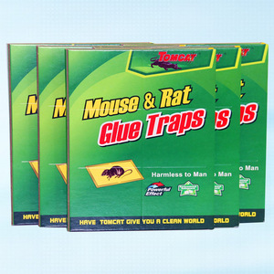 Tablero Adhesivo para <span class=keywords><strong>Ratones</strong></span>, Tablero Grueso para Atrapar <span class=keywords><strong>y</strong></span> Eliminar <span class=keywords><strong>Ratones</strong></span>, Tablero Adhesivo para <span class=keywords><strong>Ratones</strong></span> para Compra al por Mayor - Product Image 1