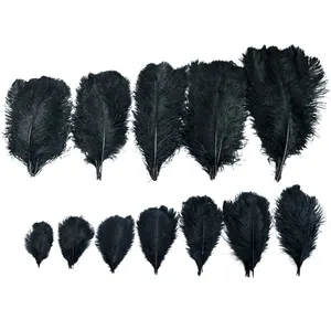 Plume Fournisseur Pleine Taille 10-80cm Naturel Noir Plume D'autruche Pas Cher Pour L'artisanat Vente