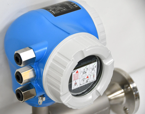 Medidor de Flujo Másico Térmico E+H Proline T-mass F 300 Endress+Hauser 6F3B15 6F3B1H 6F3B25 6F3B40 y Trampa de Vapor Spiraxsarco FT14 - Product Image 2