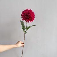 Bunga Dahlia Lateks Buatan Berkualitas Tinggi, Ukuran Besar, Sentuhan Realistis, Gradasi Burgundy, untuk Dekorasi Pernikahan, Thanksgiving, Rumah, dan Meja Pesta