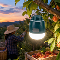 Ampoule LED rechargeable pour stand, étanche IP65, lampe d'urgence portable pour marché nocturne, camping en plein air