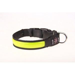 Collar Luminoso LED con Carga USB para Perros, Collar Antipérdida para Golden Retriever, Border <span class=keywords><strong>Collie</strong></span> y Todas las Razas - Product Image 4