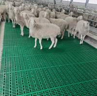 Plancher à lattes en PP haute résistance Zhongxing, résistant à la corrosion, facile à nettoyer, équipement pour élevages porcins, taille personnalisée disponible