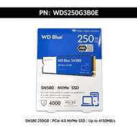   SSD Internal Solid State Drive Blue SN580 250GB M.2 NVMe S250G3B0E PCIe Gen4 M-Key 2280