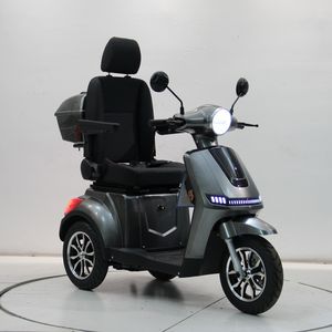 Scooter électrique à 3 roues DINGYITOP, modèle MS02, 1000W, livraison à domicile en Europe, homologué EEC, 60V30AH, premium, ultra longue portée 80KM - Product Image 1