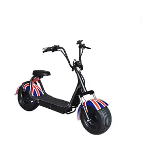 Adult Fat Tire Electric Scooter 2000W Premium Electric Motorbike For Delivery