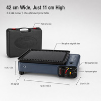 Barbecue portable au gaz butane, gril de camping 2,2 kW, cuisinière à barbecue coupe-vent avec plaque de cuisson pour pique-nique en plein air