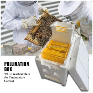 Mật ong Nữ Hoàng Bee Hive NUC Hộp Mini Bee giao phối hộp hộp nhựa cho ong - Product Image 6