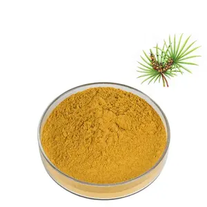 Wholesale Saw Palmetto Berry Extract Powder Fatty Acids Saw Palmetto Extract