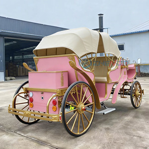 Calèche royale de luxe avec capot pour visites panoramiques en extérieur, véhicule électrique pour mariages et tourisme - Product Image 5
