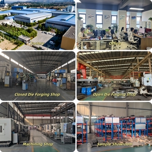 خدمات تزوير مخصصة الشركة المصنعة لتزوير الصلب بدقة - Product Image 4