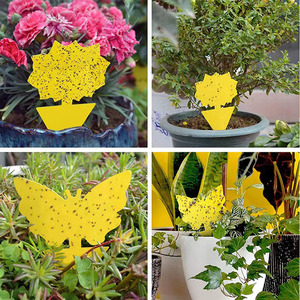 Pièges à mouches des fruits, pièges à mouches collants jaunes pour les insectes des plantes d'intérieur - Product Image 4