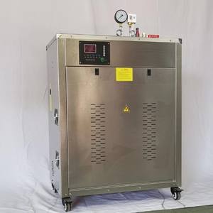 Pistola de Lavado de Autos Eléctrica de Acero de 22v/380v y 2000W con Vapor y Presión de 6.5-8 bar para Lavado de Autos - Product Image 4