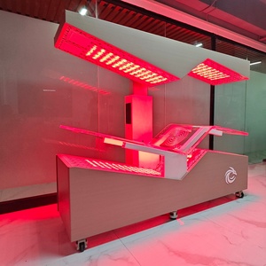 PEMF 매트 레드 라이트 크리스탈 자기 요법, 레드 라이트 침대 요법 전신 상업용 등급 - Product Image 5