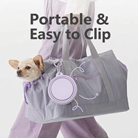 Vente en gros de bols pliables en silicone pour animaux de compagnie, portables, pour voyages en plein air, pour chat et chien, avec mousqueton