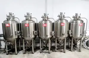 Vendita calda micro beer brewing equipment100l 200l 300l