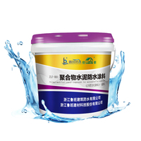 JS POLYMÈRE CIMENT WATERPROOF COATING Type I Ratio 10 à 7 pour les matériaux de construction de salle de bains et de cuisine