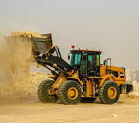 Tier3 Hochleistungs-Radlader SYL956H5 mit optionalem 4,0m³ Großem Schaufelvolumen für Bauprojekte