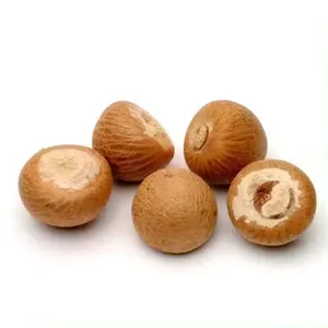 Top Quality Organic Export Oriented Areca Catechu Dried Betel Nut Color Brown Origin Betel Nut