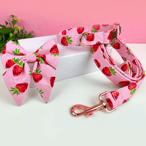 Aksesori Kustom bermotif Set harnes anjing peliharaan terbalik produsen Label pribadi harnes dan tali kucing Perro - Product Image 3